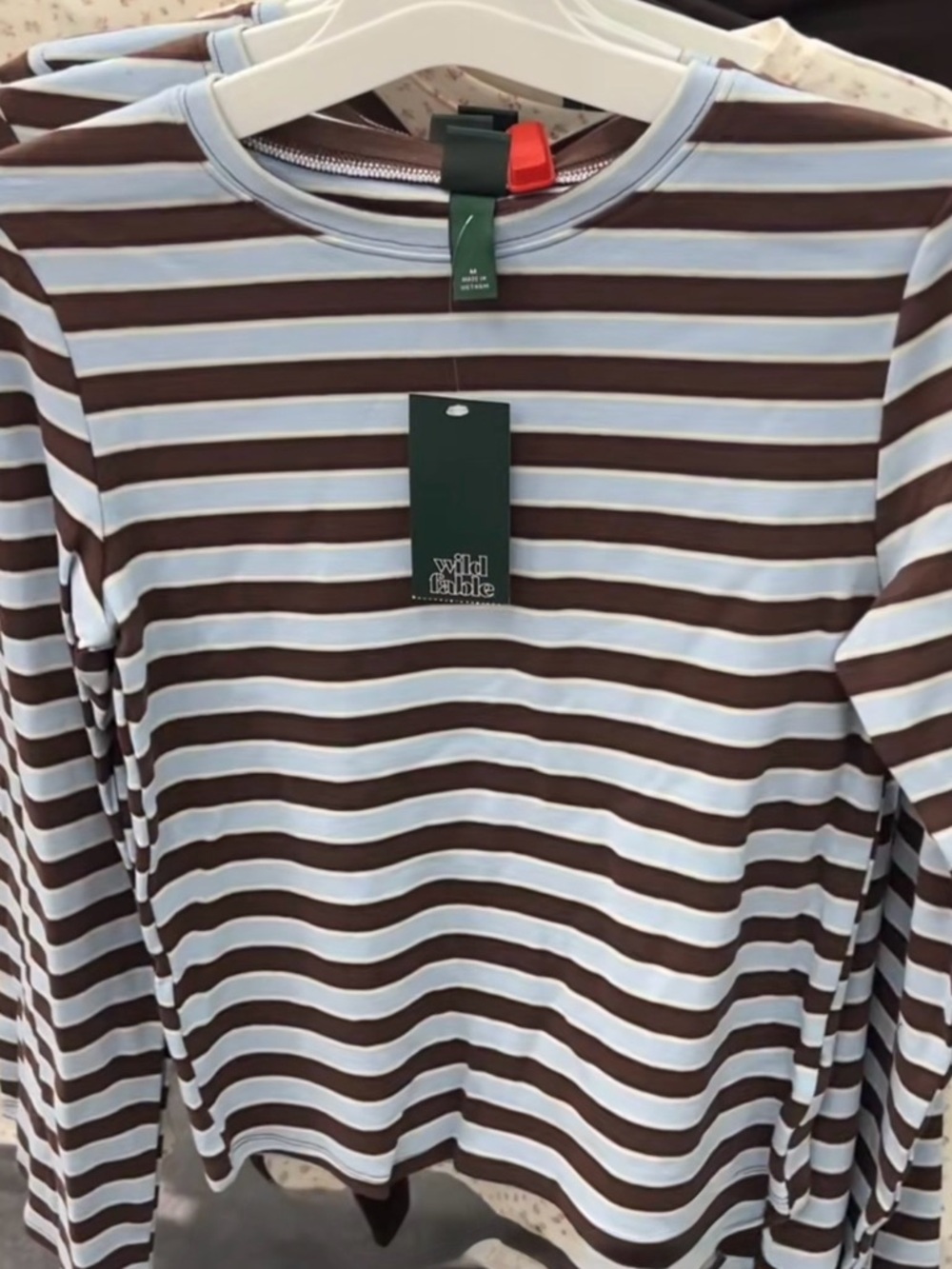 Target Wild Fable Striped brown and blue